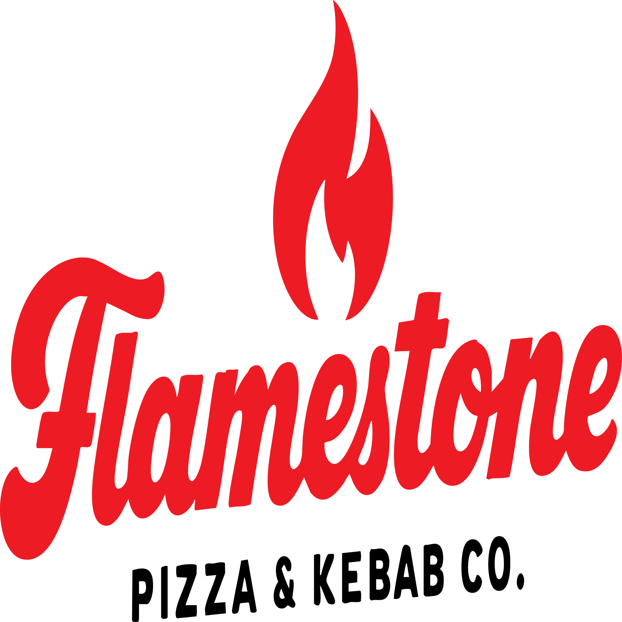 flamestonefoods.com